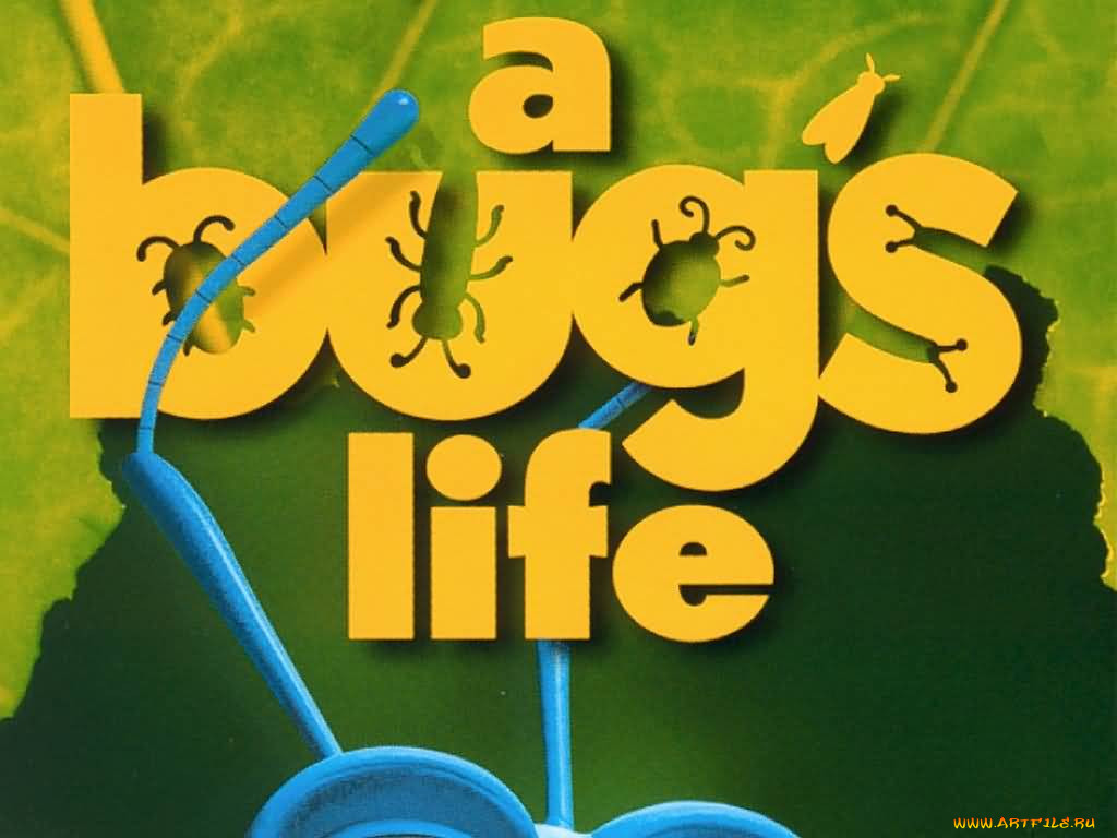 , bugs, life